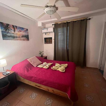 Hotel Tierra Verde Bed And Breakfast Bocas del Toro Extérieur photo