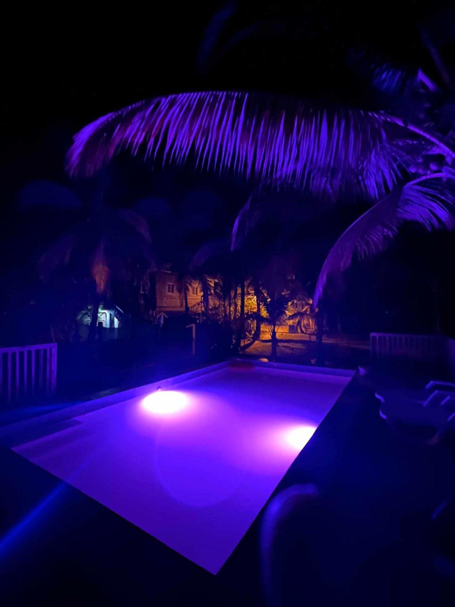 Hotel Tierra Verde Bed And Breakfast Bocas del Toro Extérieur photo