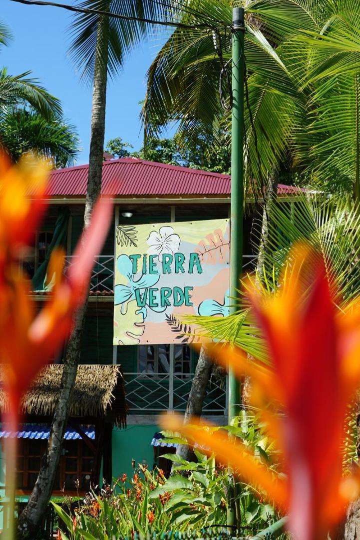 Hotel Tierra Verde Bed And Breakfast Bocas del Toro Extérieur photo